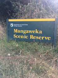 Mangaweka Scenic Reserve