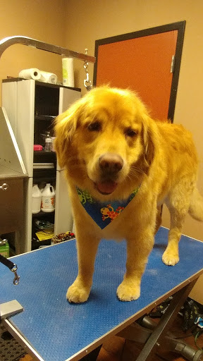 Pet Store «Pet Valu», reviews and photos, 2645 Shillington Rd, Sinking Spring, PA 19608, USA