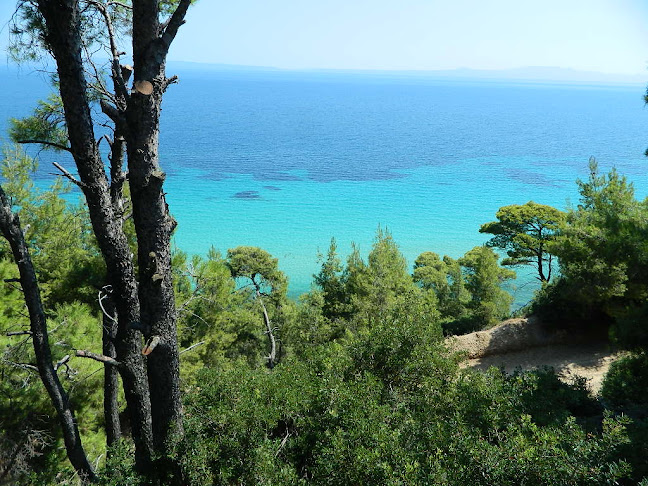 Αξιολογήσεις για το D.I.AS effective planning στην Δράμα - Κτηματομεσιτικό γραφείο