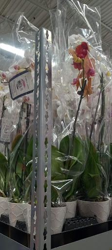 Warehouse club «BJ’s Wholesale Club», reviews and photos, 825 Pelham Pkwy, Pelham Manor, NY 10803, USA