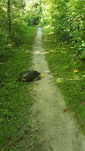 Golf Course «Island Lake Golf and Training Center», reviews and photos, 1000 Red Fox Rd, Shoreview, MN 55126, USA