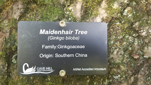 Park «Bingham Park», reviews and photos, 160 Coral Ave, Louisville, KY 40206, USA