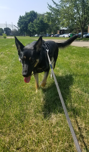 Pet Supply Store «PetSmart», reviews and photos, 101 E Euclid Ave, Mt Prospect, IL 60056, USA