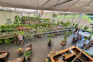 Plantei Garden Center Ltda image