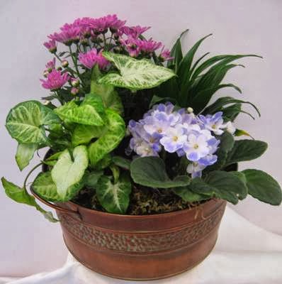 Florist «Hill Florist and Gifts», reviews and photos, 276 E Main St, Hillsboro, OR 97123, USA