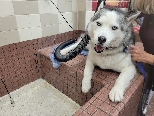 Pet Food Express image