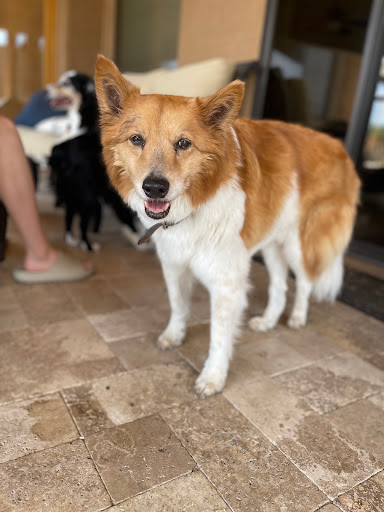 Explore lilo and stitch tattoo ideas, creative tattoo ideas in Los Angeles, available at Mantle Tattoo