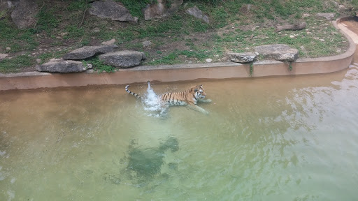 Tourist Attraction «Louisville Mega Cavern», reviews and photos, 1841 Taylor Ave, Louisville, KY 40213, USA