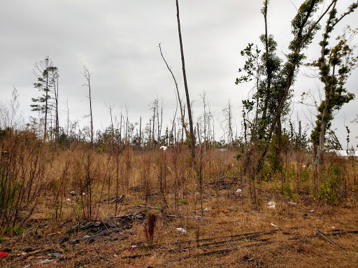 Park «Joe Moody Harris Park», reviews and photos, N Center Ave, Panama City, FL 32401, USA