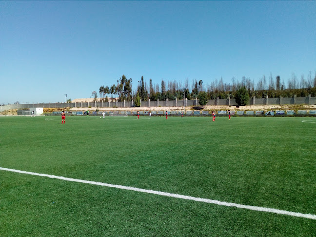 Estádio Municipal Rui Manuel Lima