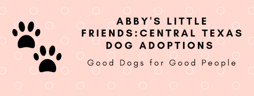 Abby's Little Friends Dog Rescue: Central Texas Dog Adoptions