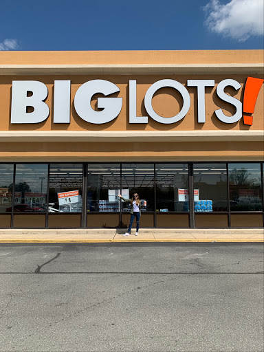 Big Lots, 8151 Brook Rd, Richmond, VA 23227, USA, 