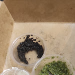 Photo n°1 de l'avis de Pedro.o fait le 30/08/2023 à 22:03 sur le  Bravi Ragazzi à Corroios