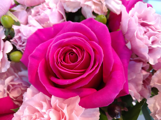 Florist «Flowers and Services», reviews and photos, 13750 Biscayne Blvd, North Miami Beach, FL 33181, USA