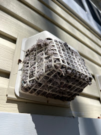 TopCleanVA LLC - Photo 3 - Car repair in Virginia Beach, VA, Virginia Beach