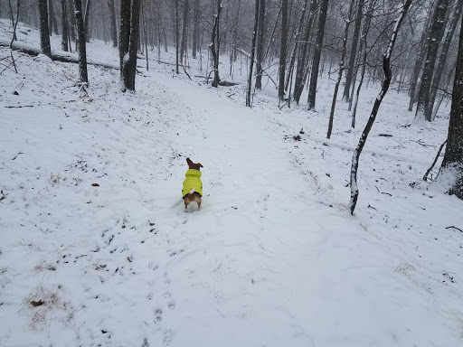 State Park «Hook Mountain State Park», reviews and photos, N Rte 9W, Nyack, NY 10960, USA