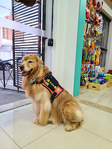 Logo da empresa - Dudu e Edu Pet Store