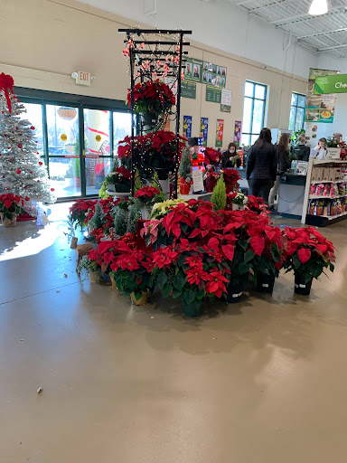Garden Center «Pike Nurseries», reviews and photos, 615 W Crossville Rd, Roswell, GA 30075, USA