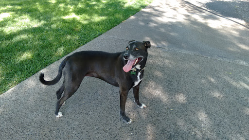 Park «Pueblo Park», reviews and photos, Peublo Vista Dr, Las Vegas, NV 89128, USA