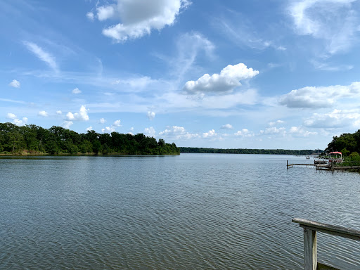 Shiloh on the Lake image 3