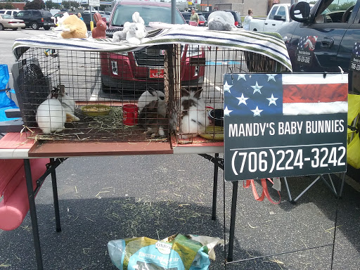 Home Improvement Store «Tractor Supply Co.», reviews and photos, 156 M.L.K. Jr Blvd, Monroe, GA 30655, USA