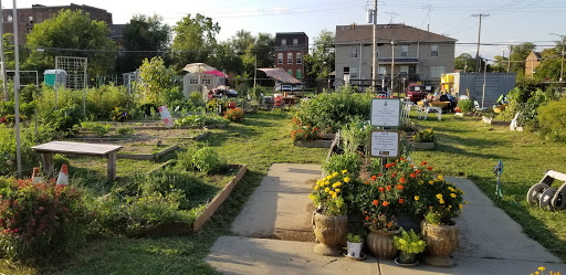 Community garden Saint Louis