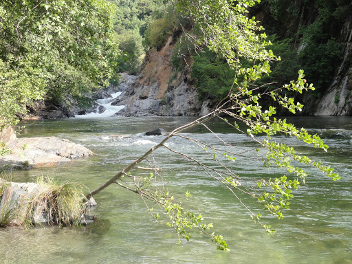 National Park «Sequoia National Park», reviews and photos