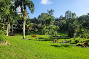 Administración Central del Jardín Botánico de la Universidad de Puerto Rico image