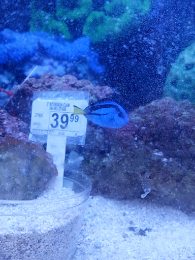 Pet Supply Store «Petco Animal Supplies», reviews and photos, 20825 I-30, Benton, AR 72015, USA