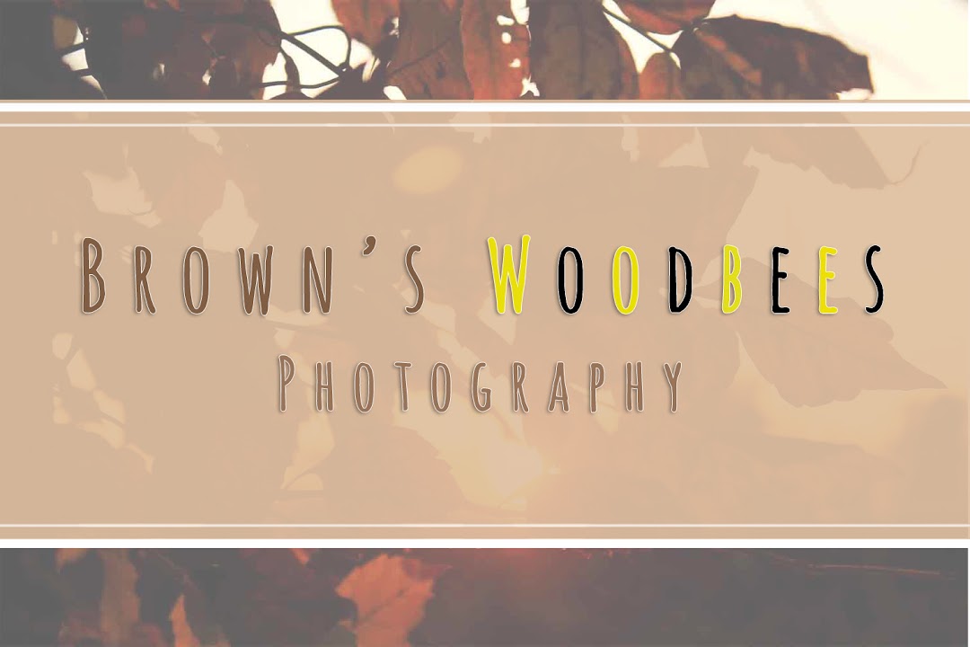 Browns Woodbees - Carpenter & Beekeeper, Homestead & Photography