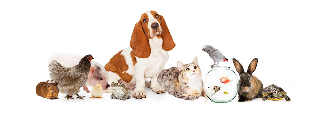 Reviews of Tower Pet & Animal Feeds in Colchester - Shop