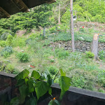 Photo n°4 de l'avis de Guido.r fait le 17/05/2023 à 07:02 sur le  Restaurant Taverne Robustello à Colico