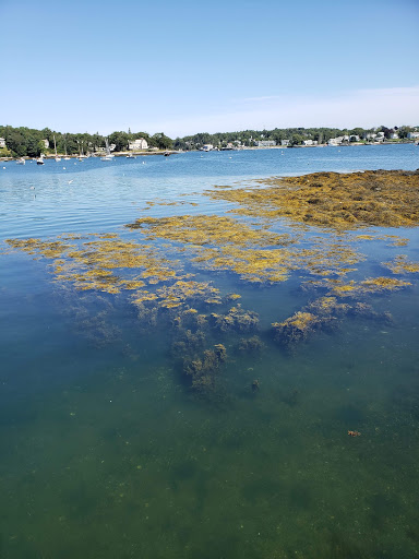 Aquarium «Maine State Aquarium», reviews and photos, 194 McKown Point Rd, West Boothbay Harbor, ME 04575, USA