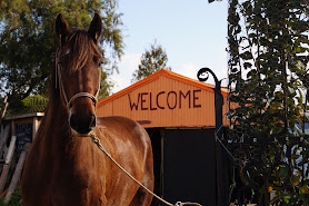 Hack'n Stay Golden Bay, Beach Horse Riding, Camping, Accommodation