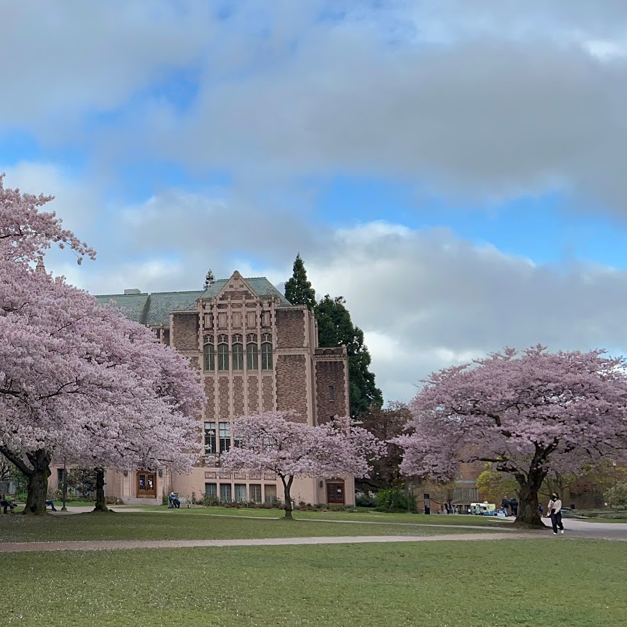 University of Washington reviews