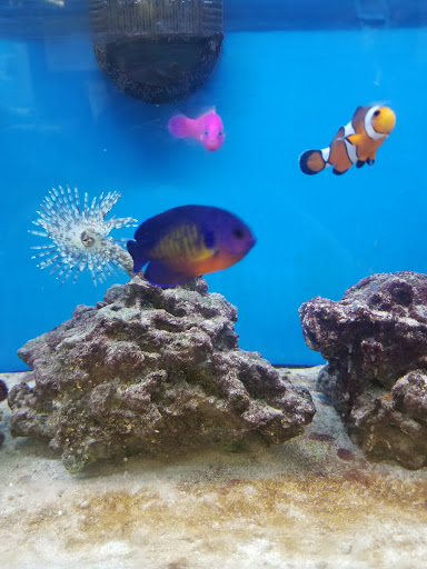 Pet Supply Store «Petco Animal Supplies», reviews and photos, 5925 US-6, Portage, IN 46368, USA