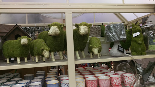 Hardware Store «Wexford Ace Hardware», reviews and photos, 11910 Perry Hwy, Wexford, PA 15090, USA