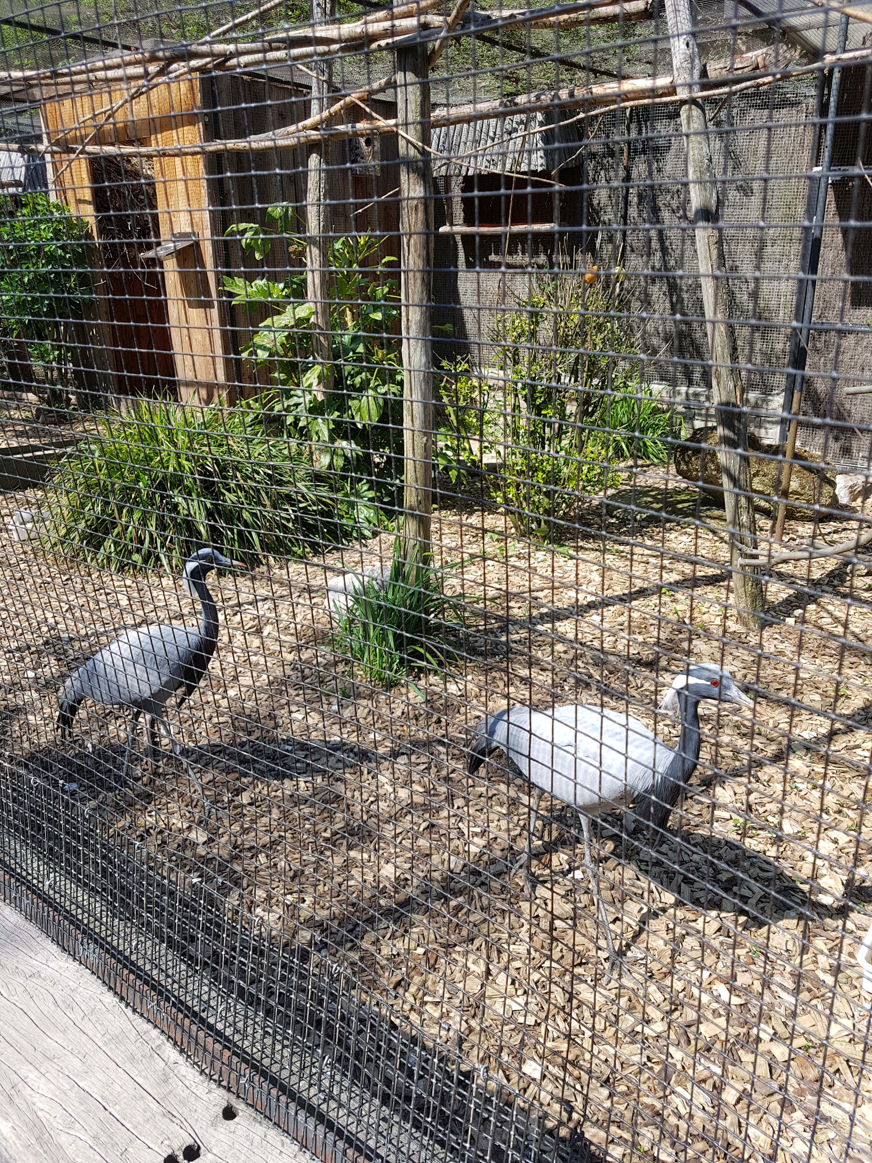 Photo n° 44 de l'avis de Celia.a fait le 30/04/2019 à 08:20