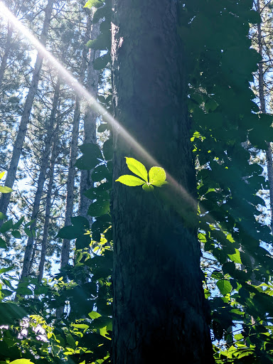 Nature Preserve «Carpenter Nature Center», reviews and photos, 12805 St Croix Trail S, Hastings, MN 55033, USA