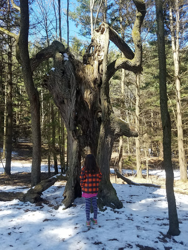 Nature Preserve «Wolf Creek Environmental Center», reviews and photos, 6100 Ridge Rd, Wadsworth, OH 44281, USA