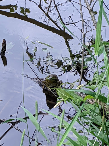 Nature Preserve «Hickory Creek Preserve», reviews and photos, Wolf Rd, Mokena, IL 60448, USA