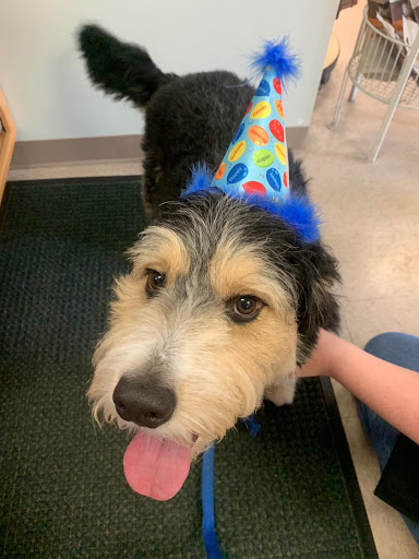 Pet Supply Store «Pets Choice», reviews and photos, 454 Daniel Webster Hwy, Merrimack, NH 03054, USA