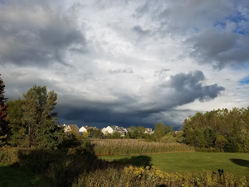 Park «Hampe Park», reviews and photos, 297 W Lies Rd, Carol Stream, IL 60188, USA