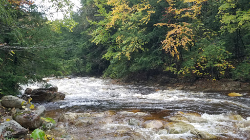 National Forest «Green Mountain and Finger Lakes National Forests», reviews and photos, 231 N Main St, Rutland, VT 05701, USA