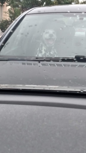 Pet Supply Store «Petco Animal Supplies», reviews and photos, 1209 New Brunswick Ave, Phillipsburg, NJ 08865, USA