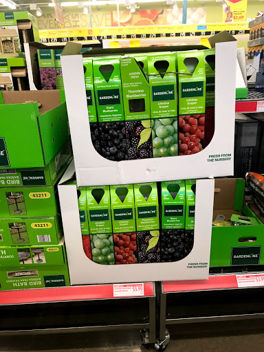 Supermarket «ALDI», reviews and photos, 805 E Belt Line Rd, Cedar Hill, TX 75104, USA