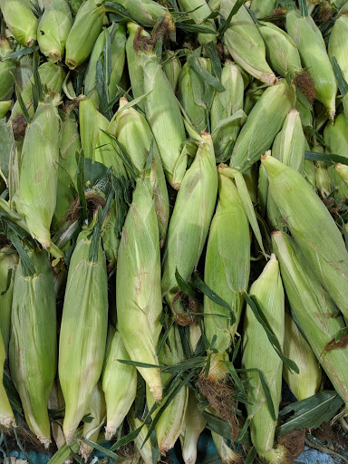 Health Food Store «Sprouts Farmers Market», reviews and photos, 4123 S Harvard Ave, Tulsa, OK 74135, USA