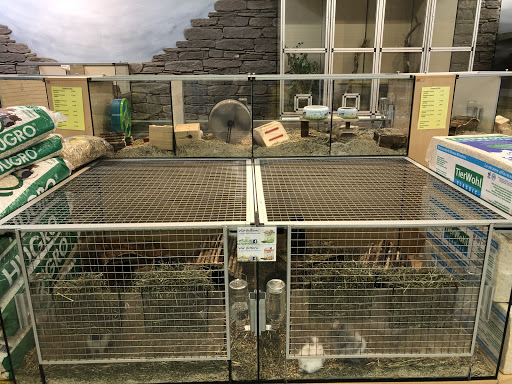 Zookauf Hannover unter Hanover, 