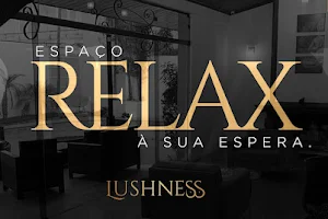 Lushness Massagem Moema image