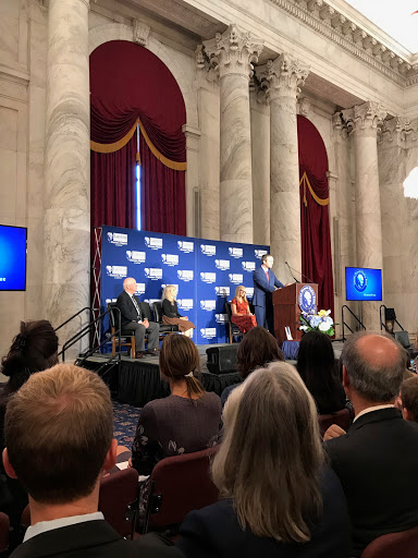 World Roma Federation